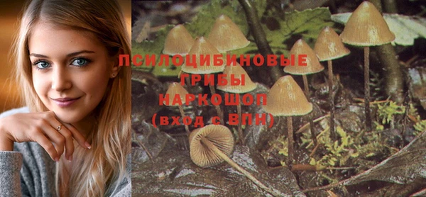 кокаин Алексин