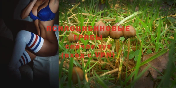 марки nbome Алзамай